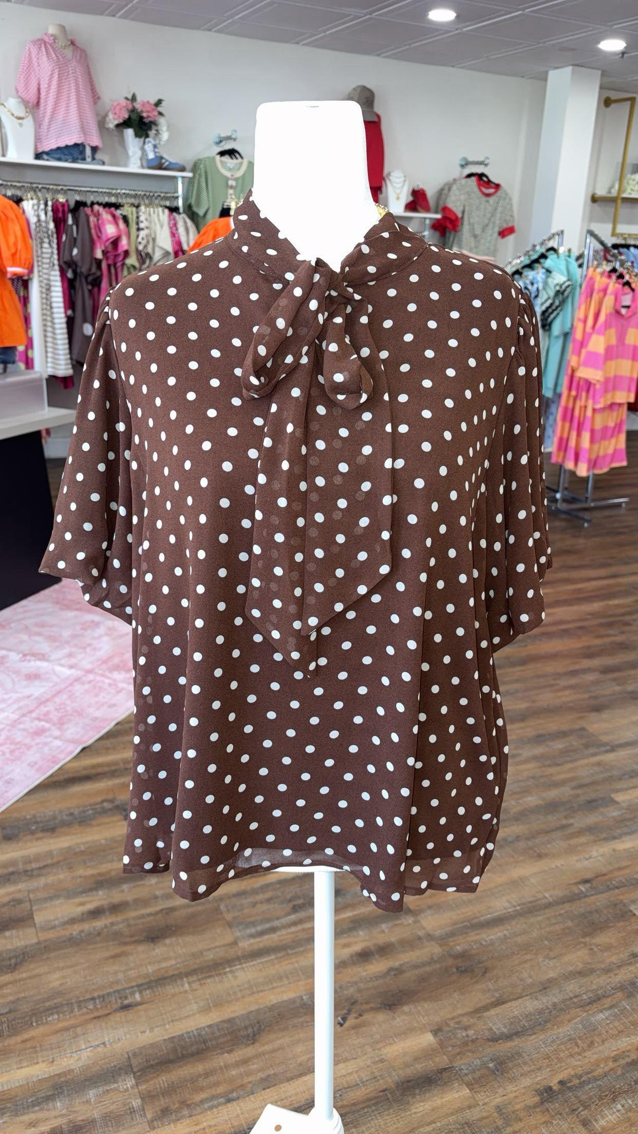 S+S- Plus Brown Polka Dot Top