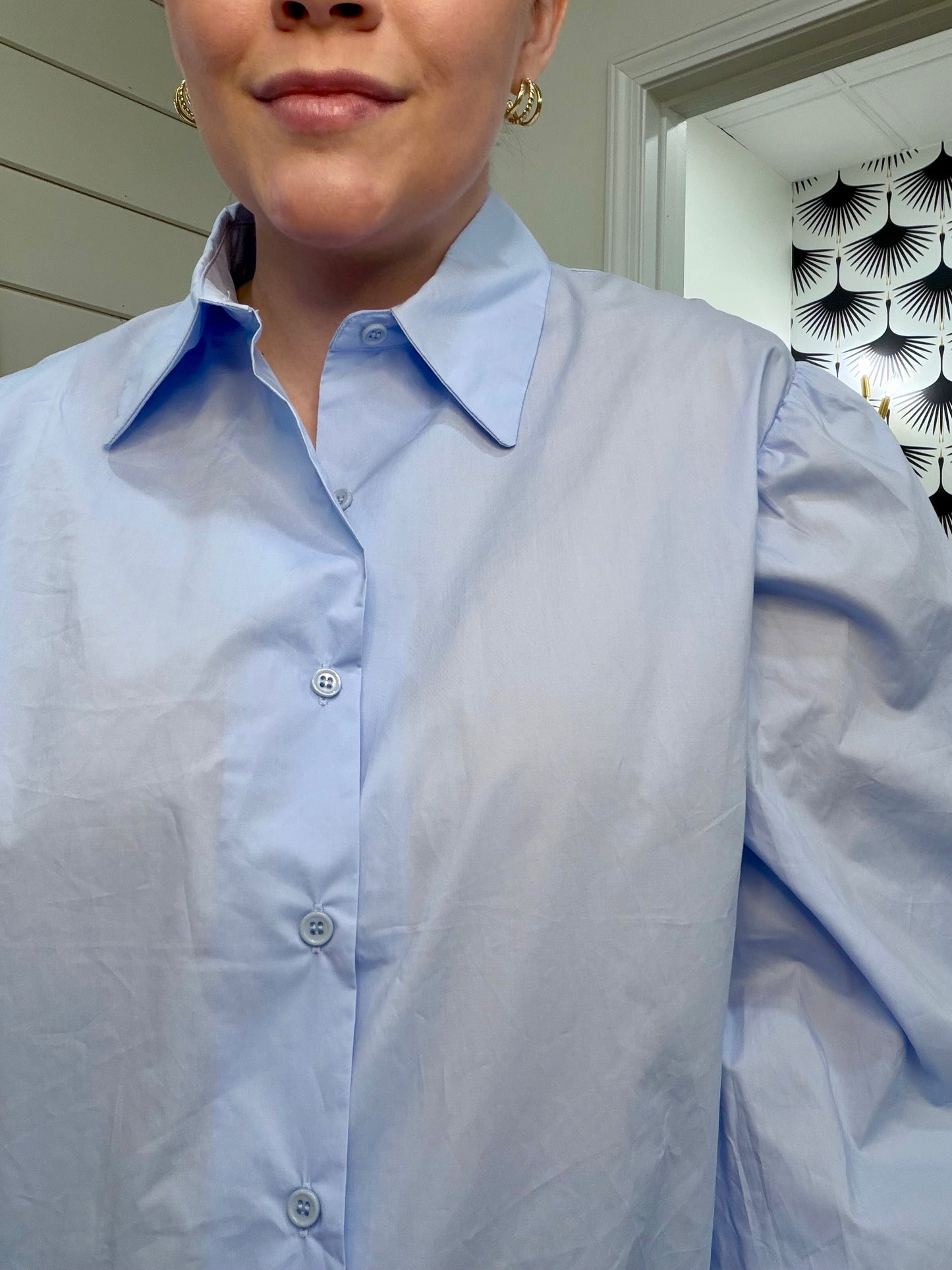 Blue Oxford Puff Sleeve Blouse